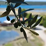 Olive Garden & Sea 포르토로즈
