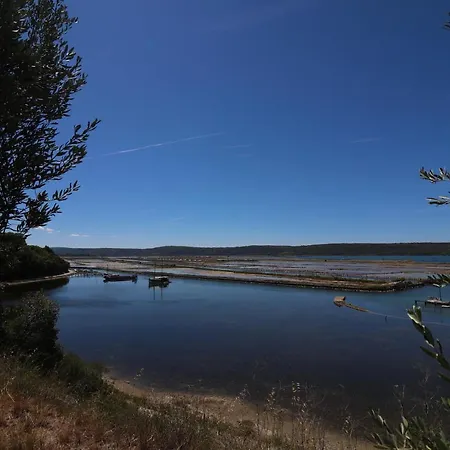 Olive Garden & Sea *