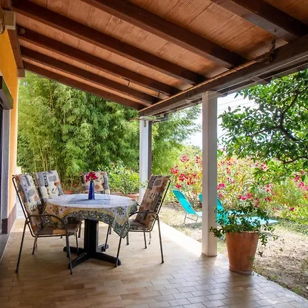 Olive Garden & Sea Apartment Portoroz