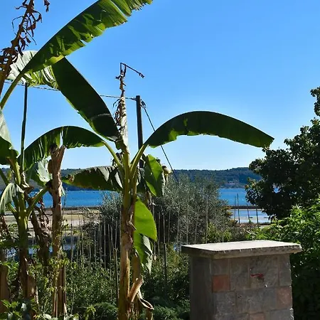 Apartment Olive Garden & Sea