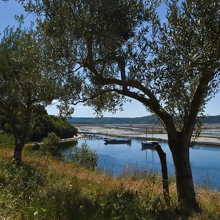 Apartment Olive Garden & Sea Portoroz