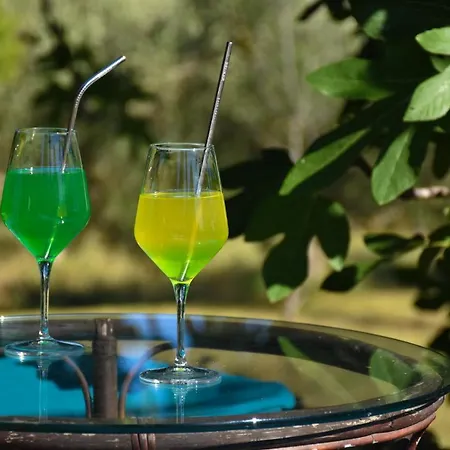 Apartment Olive Garden & Sea Portoroz