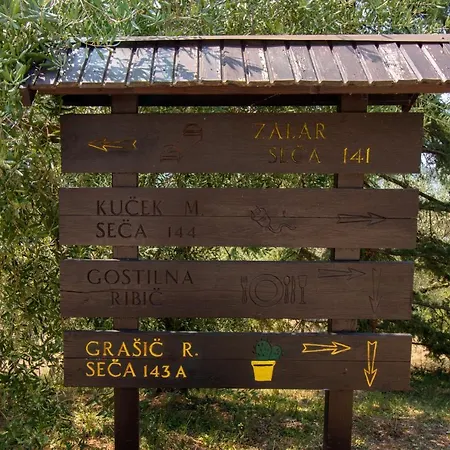 Olive Garden & Sea *