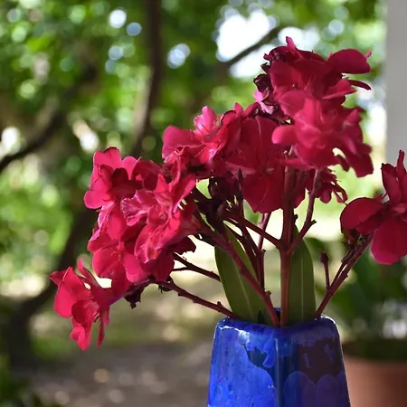 Apartment Olive Garden & Sea Portoroz