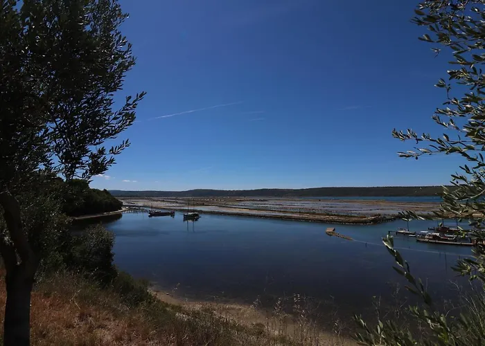 Olive Garden & Sea *