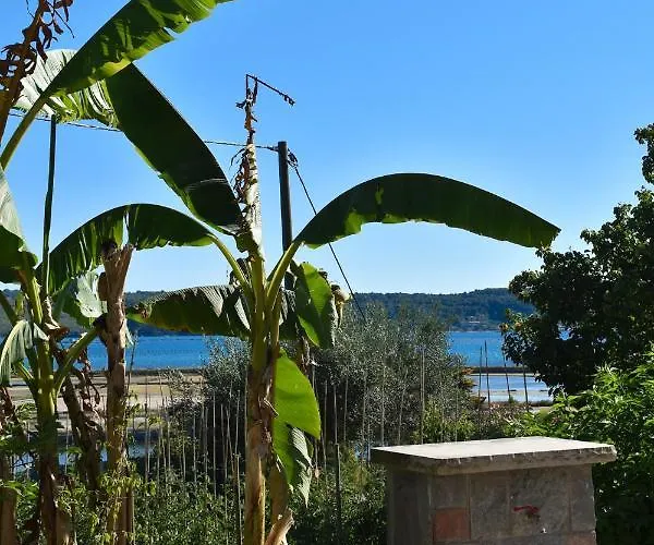 Apartamento Olive Garden & Sea