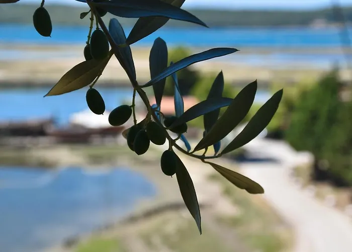 Olive Garden & Sea Portorož