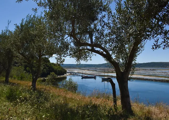 Apartamento Olive Garden & Sea Portorož