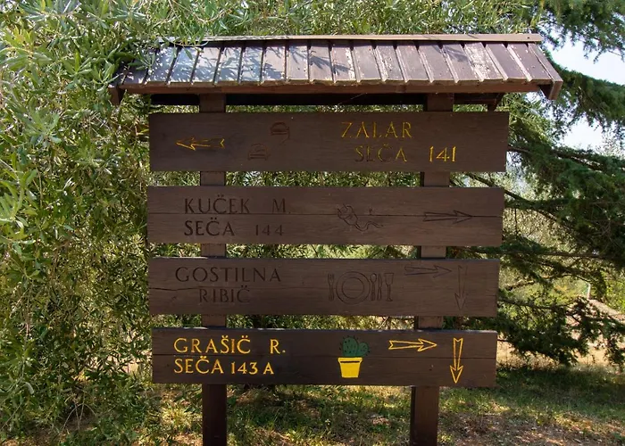 Olive Garden & Sea *