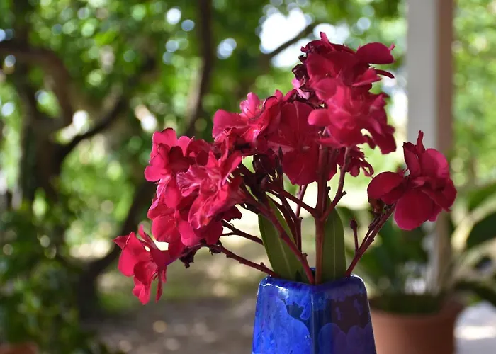 Apartamento Olive Garden & Sea Portorož